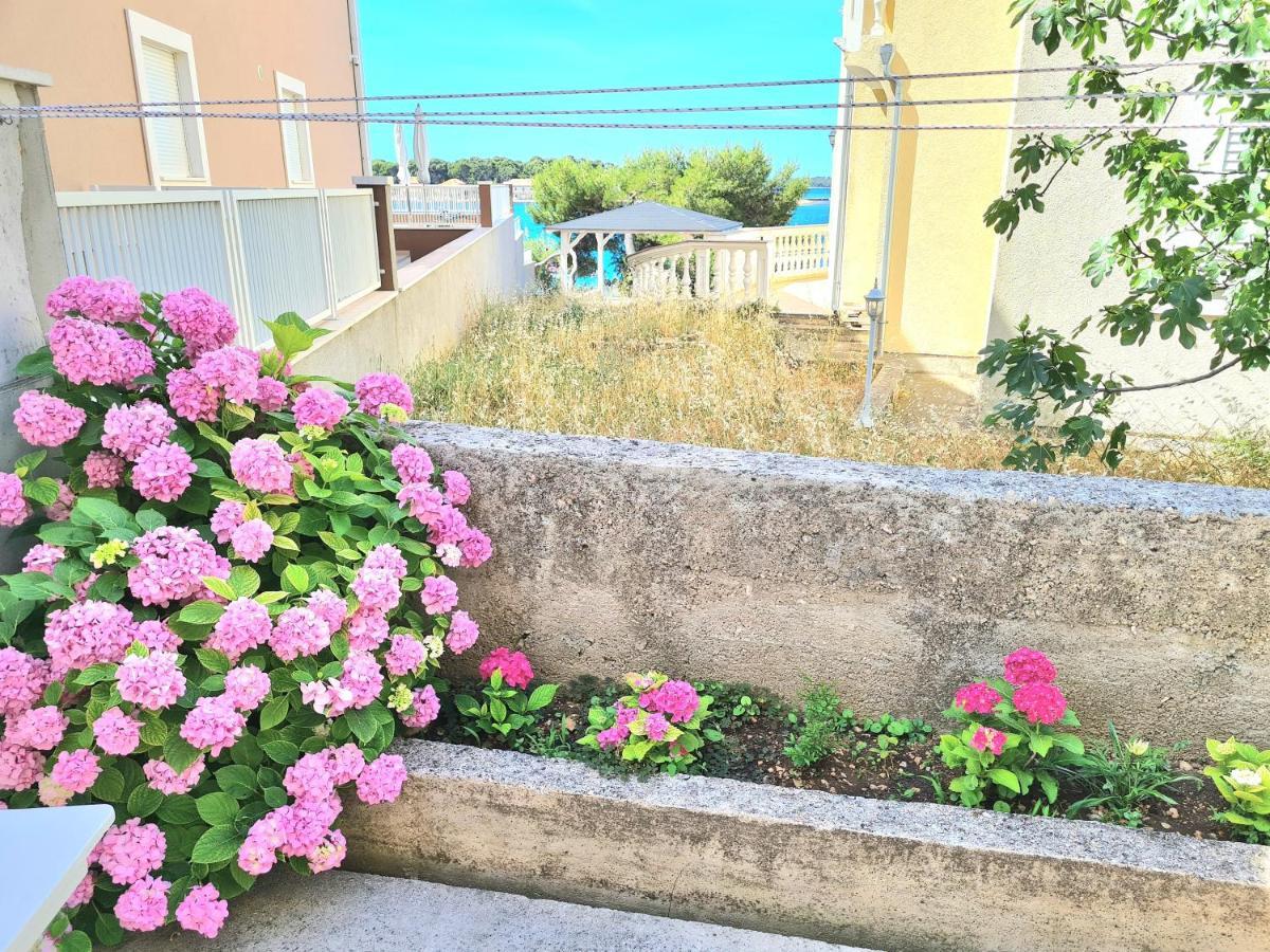 Apartment Ivana Brodarica  Zewnętrze zdjęcie