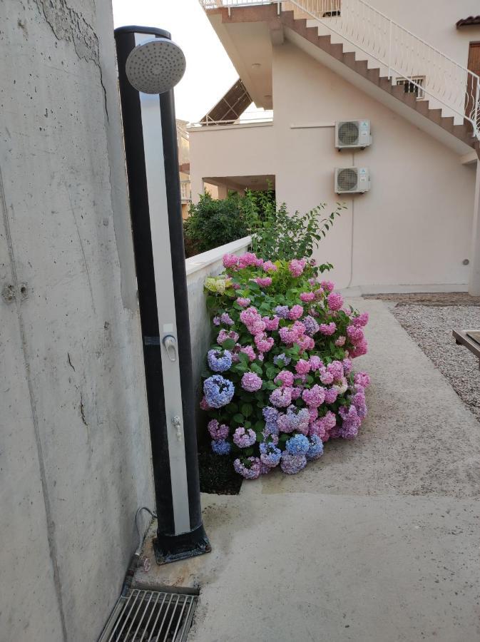 Apartment Ivana Brodarica  Zewnętrze zdjęcie